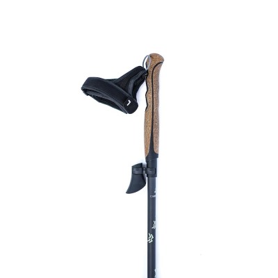 Bâtons marche nordique Lacal 40 Stick Carbon Bâtons marche nordique Lacal 40 Stick Carbon