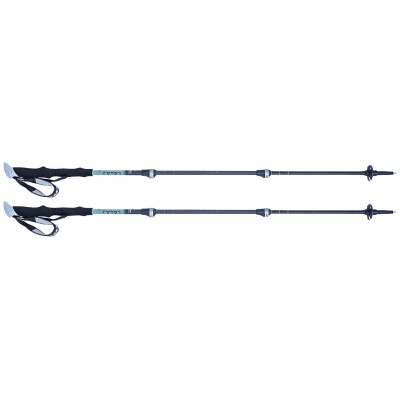 Lacal - Carbon Stick Light 125 - Couleur bleu